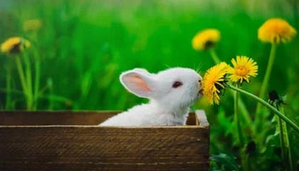 mk体育官网首页-全国青少年壁球锦标赛上海队包揽奖牌，壁球联赛