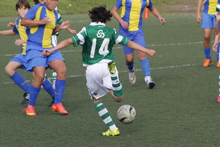 mk体育官网入口-国际足球协会推动足球全民普及，青少年参与度飙升，各国青少年足球注册人口